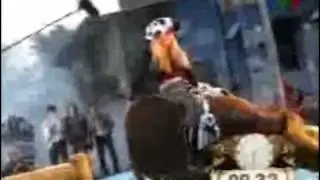 El toro mecánico (1).