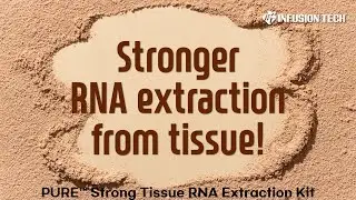 Infusion Tech │PURE&trade; Strong Tissue RNA Extraction Kit : Powerful RNA Extraction from Tissue!