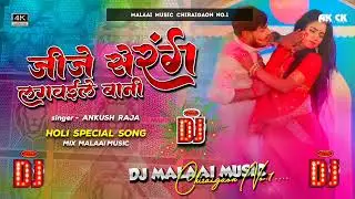 Jije Se Rang Lagwaile Baani Dj Remix | Ankush Raja Holi Dj Song | Instagram Viral Holi Dj Song 2026