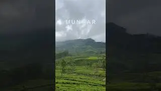 Visiting Munnar in December is one of the best decisions I made #munnar #winter #greenery #travel
