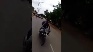 Bellary pigeon running City 🏃🏃🏃🏃🏃