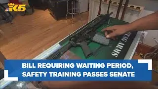 Bill requiring 10-day waiting period, safety training for gun buyers passes in Senate