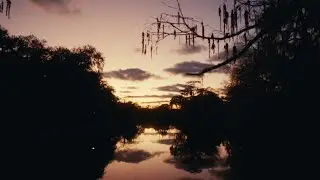 louisiana ambience. |Sony FX3 // Super 8|