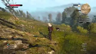 The Witcher 3- Fast attack Combo