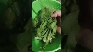 dropping Water in Wash Vegetable #satisfyling #yutubeshorts
