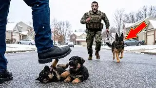 A Drunk Man Kicked Two Shepherd Puppies &mdash; But a Navy SEAL Saved Them and Changed a Town Forever