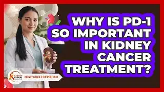 Why Is PD-1 So Important In Kidney Cancer Treatment? - Kidney Cancer Support Hub