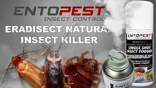 Entopest Single Shot Insect Fogger