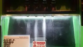 RC Engineering 550cc injectors spray pattern test at Toronto Injectors