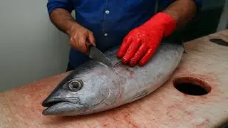 Tuna Fish Fillet