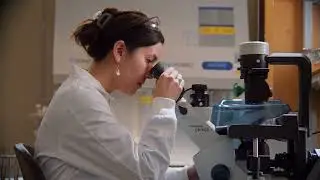 Launch Your Northeastern Master's Degree in Maine