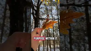 Nature Isn't Your Background: It's Your User Interface with God