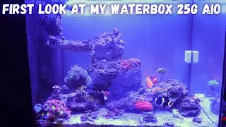 First Look at my Waterbox 25g Peninsula Tank