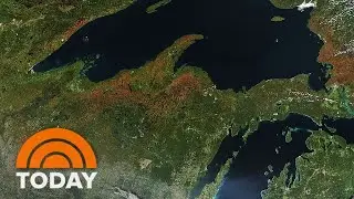 Fall Foliage Is So Bright This Year That It&rsquo;s Visible From Space