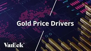 What Factors Influence the Price of Gold? Key Drivers & Market Trends