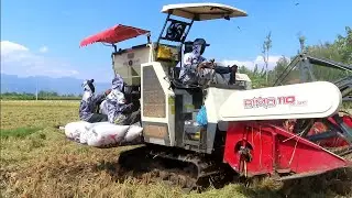 KOMBI SAWAH BESAR BIMO 110 PLUS DI KARANGAN BALONG PONOROGO