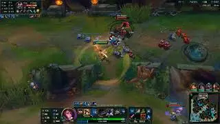 fiora is still op