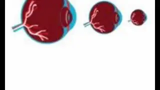 after effects Anatomy animation