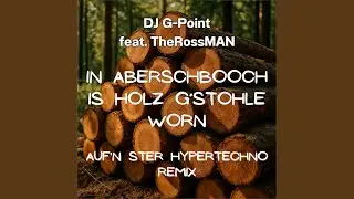 In Aberschboch is Holz g'stohle worn (Auf'n Ster Hypertechno Remix)