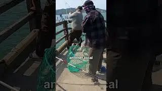 I hooked SOMETHING&hellip; and it wasn&rsquo;t supposed to happen 👀😳 #fishing #monsterCatch