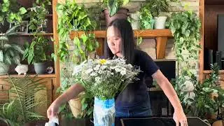 Money bouquet