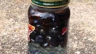 CRYSTAL MATRIX