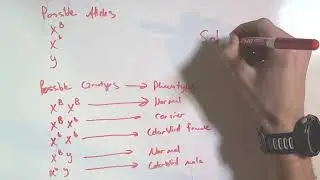 Genetic Practice problems: Genetic Exercise A