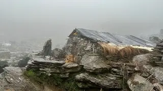 Himalayan Village lifellThe Incredible Story oF Nepal'sLast NomadsllAll Season Compilation Video..ll