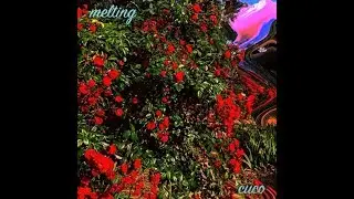 cuco - melting (legendado)
