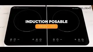 Plaque de cuisson INDUCTION portable design et compacte Beldeko TPI2V-117