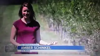 CTV News :  Bananas & Olive Farm on Salt Spring Island