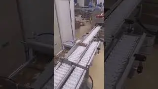 Cake tray box sorting conveyor robot hand cartoning machine encasing line