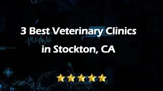 3 Best Veterinary Clinics in Stockton, California 2024 | Animal Hospitals