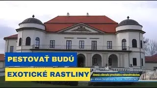 Ko&scaron;ick&yacute; kraj očkuje už aj v ter&eacute;ne - Rozh&yacute;ban&yacute; kraj (21)