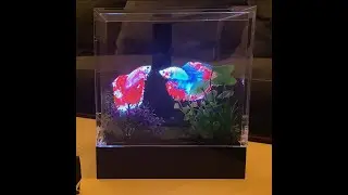 3D Holographic Aquarium