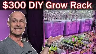 DIY Winter Grow Rack for Fig Tree Cuttings: Easy Setup, Lights, Heat Mats & Cost Breakdown!