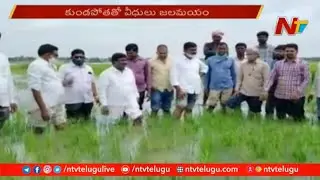 Crops Damaged Due To Rains At Mahabubnagar District | NTV