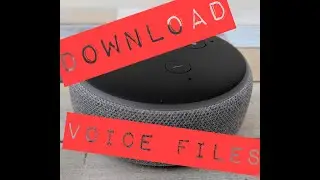 Download Alexa voice files/recordings