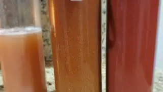 Day 12 Fall Cleaning Detox 2019 My Juices