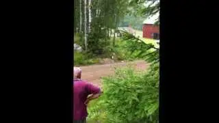 G&auml;stabudstrof&eacute;n 2012 SS1/SS5 HD