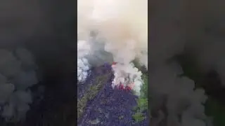 Wildfire #wildfire #disaster #wildplay #discovery #discoverychannel #animalfacts #animalplanet