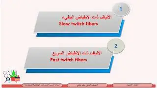 الصف الثاني عشر   المسار العلمي   الأحياء   الخصائص الوظيفية للعضلات 5   مصادر الطاقة للعضلات