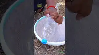 DIY Flour Sifter: Transform a Plastic Bottle for Clean Baking #shorts #plasticbottle #flour #hacks
