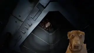 THEY GOT DEMONS ON SPACESHIPS?!?! l Species Unknown