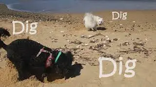 Dig a Tunnel, Dig,Dig a Tunnel