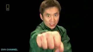 White crane kung fu - Fight Science