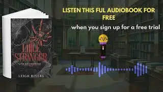 Little Stranger Audiobook | Suspenseful Thriller Full of Twists & Secrets