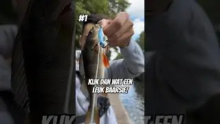 HOEVEEL vis kan ik vangen in 15 MINUTEN?!