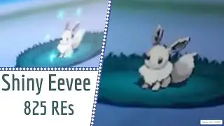Shiny Eevee appears in Pokemon White 2 after only 825 random encounters!