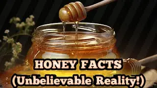 Honey Facts | Shehad Kabhi Kharab Nahi Hota? 😱🍯 | Amazing Food Science#science 